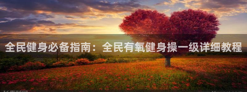 尊龙软件下载：全民健身必备指南：全民有氧健身操一级详细教