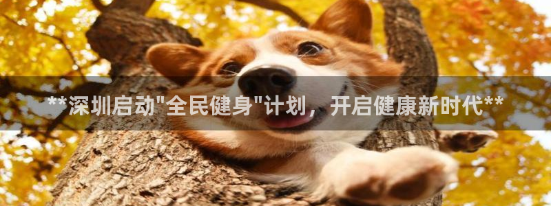 z6com尊龙凯时百家乐下载：**深圳启动\