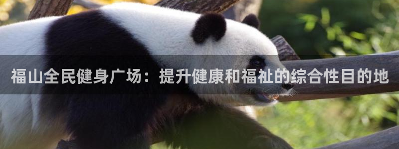 尊龙凯时人生就是搏首页：福山全民健身广场：提升健康和福祉
