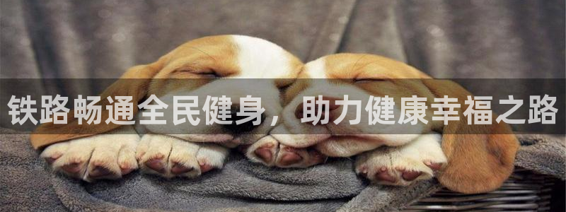 尊龙凯时下载官方正版：铁路畅通全民健身，助力健康幸福之路