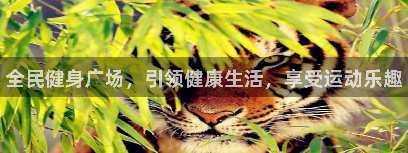 尊龙凯时ag旗舰厅登陆：全民健身广场，引领健康生活，享受