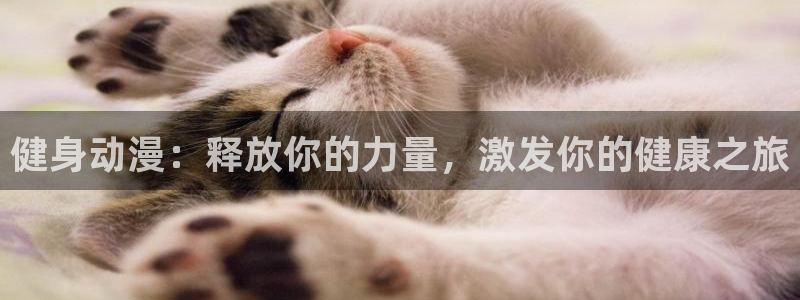 尊龙凯时存款不上分：健身动漫：释放你的力量，激发你的健康