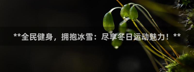 尊龙凯时几百万怎么下：**全民健身，拥抱冰雪：尽享冬日运