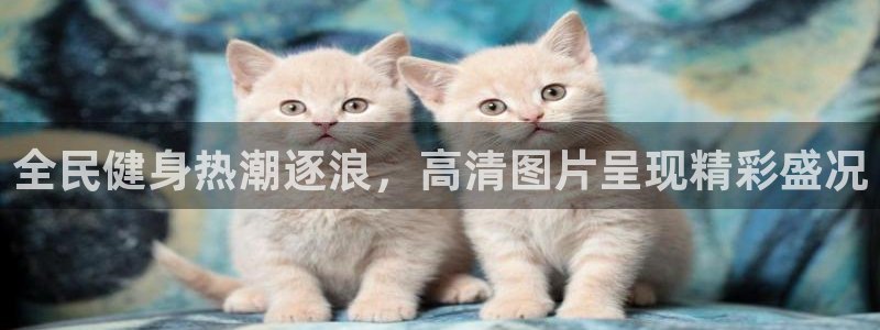 尊龙凯时出款：全民健身热潮逐浪，高清图片呈现精彩盛况