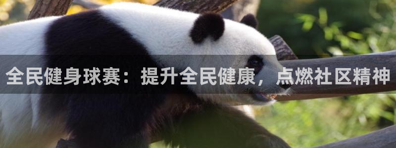 尊龙新版登录网址下载：全民健身球赛：提升全民健康，点燃社