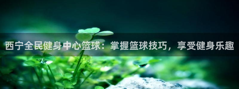 下载凯时AG旗舰厅首页：西宁全民健身中心篮球：掌握篮球技
