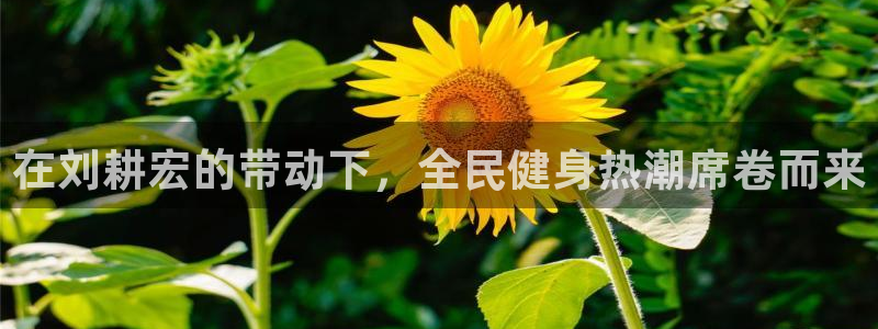 凯时效果怎么样：在刘耕宏的带动下，全民健身热潮席卷而来