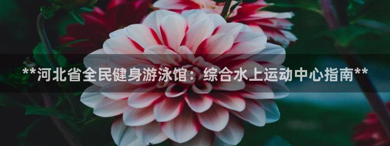 尊龙,人生就是博!登录国际：**河北省全民健身游泳馆：综