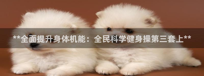 凯时平台怎么样：**全面提升身体机能：全民科学健身操第三