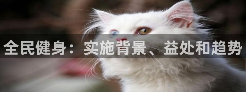 尊龙凯时app安装：全民健身：实施背景、益处和趋势