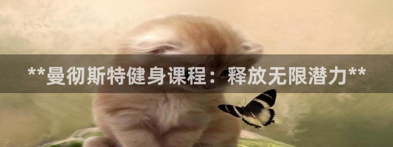 尊龙百度贴吧：**曼彻斯特健身课程：释放无限潜力**