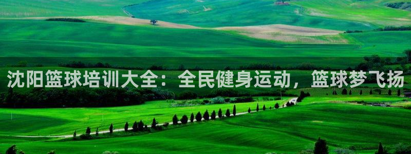 尊龙凯时取款有要求吗：沈阳篮球培训大全：全民健身运动，篮