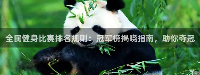Z6尊龙凯时登录：全民健身比赛排名规则：冠军榜揭晓指南，