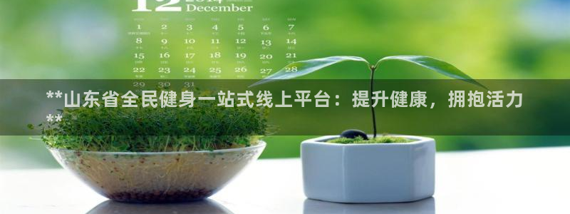 凯时平台app：**山东省全民健身一站式线上平台：提升健