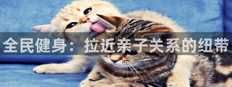 尊龙人生就是博旧版现：全民健身：拉近亲子关系的纽带