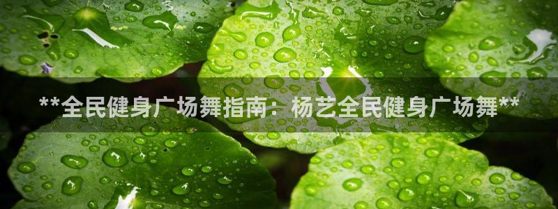尊龙凯时的企业文化：**全民健身广场舞指南：杨艺全民健身