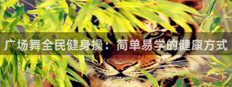 尊龙凯时注册入口：广场舞全民健身操：简单易学的健康方式