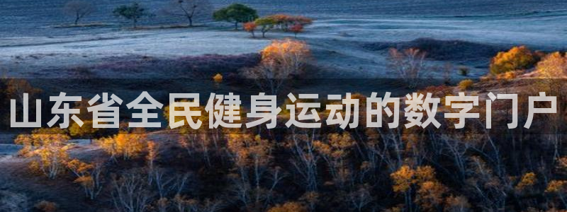 尊龙2021年最新消息：山东省全民健身运动的数字门户