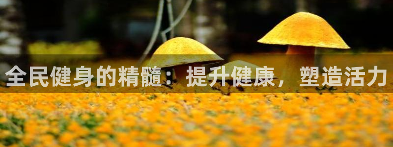 尊龙d88ag旗舰厅：全民健身的精髓：提升健康，塑造活力