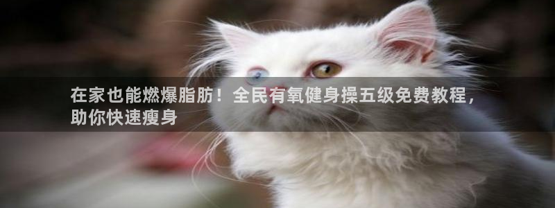 尊龙手机官方客户端下载安卓：在家也能燃爆脂肪！全民有氧健