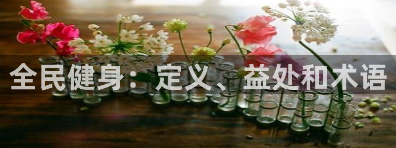 尊龙最经典的三个角色：全民健身：定义、益处和术语