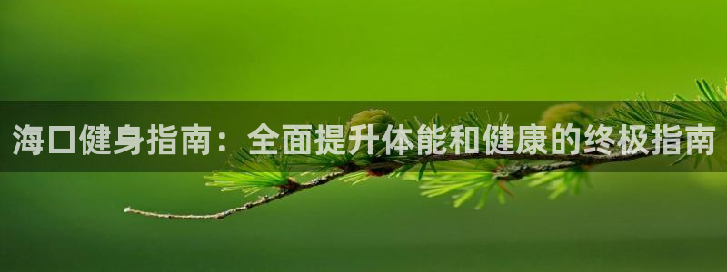 d88尊龙官网登录免费下载：海口健身指南：全面提升体能和健康