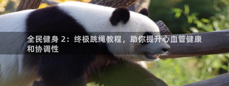尊龙网平台：全民健身 2：终极跳绳教程，助你提升心血管健