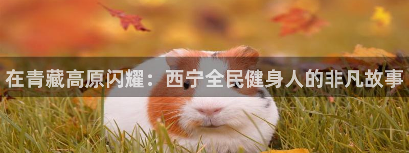 尊龙凯时 人生就是搏：在青藏高原闪耀：西宁全民健身人的非