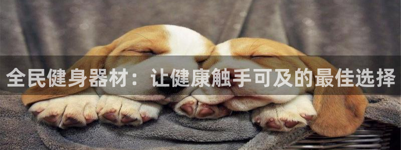 尊龙凯时下载官方正版：全民健身器材：让健康触手可及的最佳