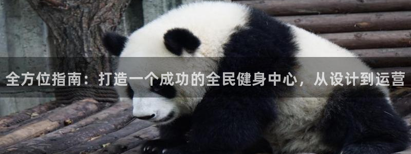 尊龙游戏app官方网站：全方位指南：打造一个成功的全民健