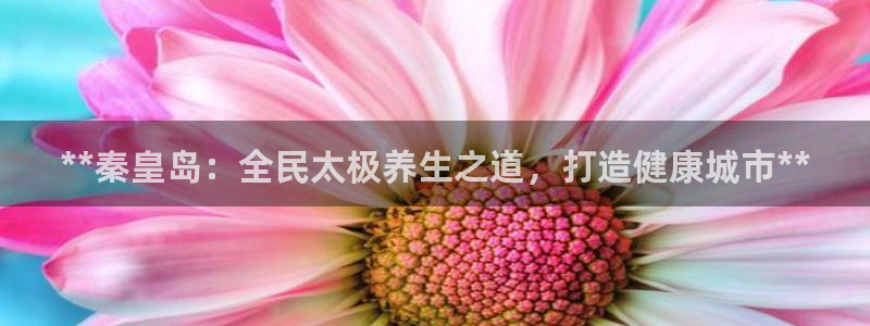 尊龙凯时白家乐：**秦皇岛：全民太极养生之道，打造健康城