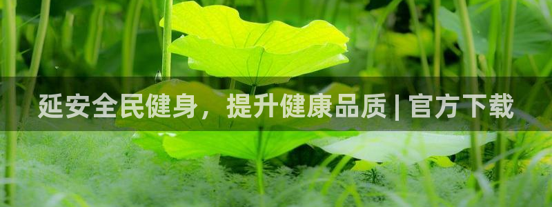 尊龙凯时国际：延安全民健身，提升健康品质 | 官方下载