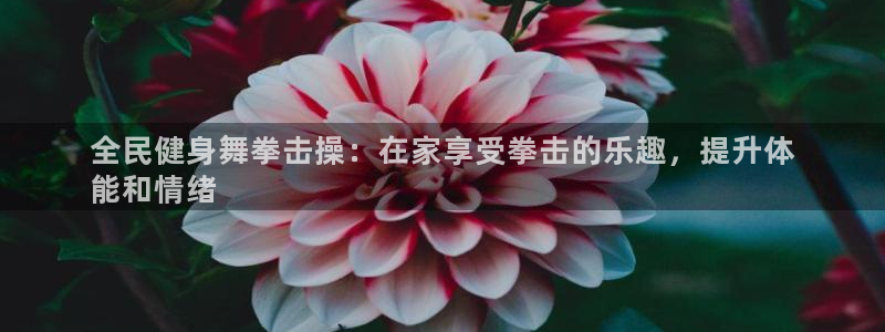 尊龙手机端下载：全民健身舞拳击操：在家享受拳击的乐趣，提