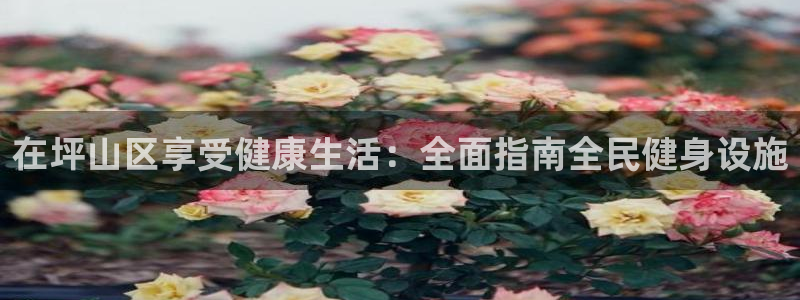 尊龙凯时有限公司：在坪山区享受健康生活：全面指南全民健身