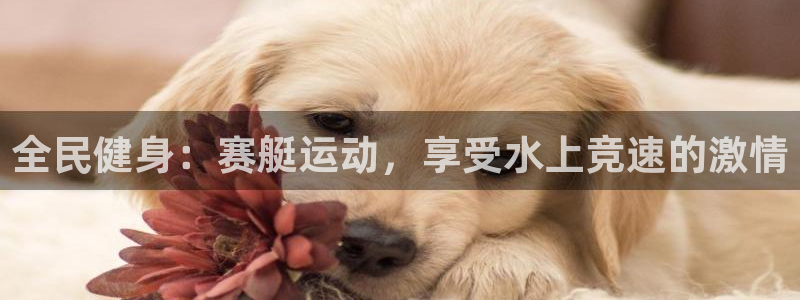 尊龙凯时官网平台：全民健身：赛艇运动，享受水上竞速的激情