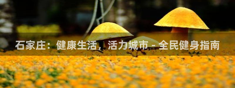 尊龙凯时城娱乐：石家庄：健康生活，活力城市 - 全民健身