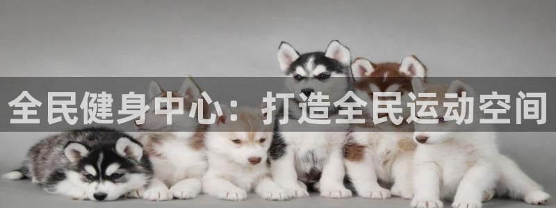 尊龙凯时网站是什么地方人开的
