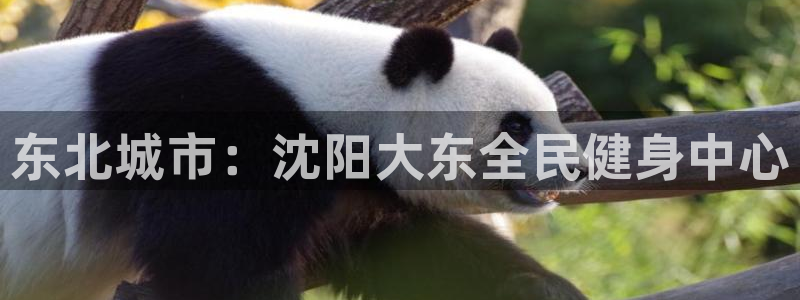 尊龙官方