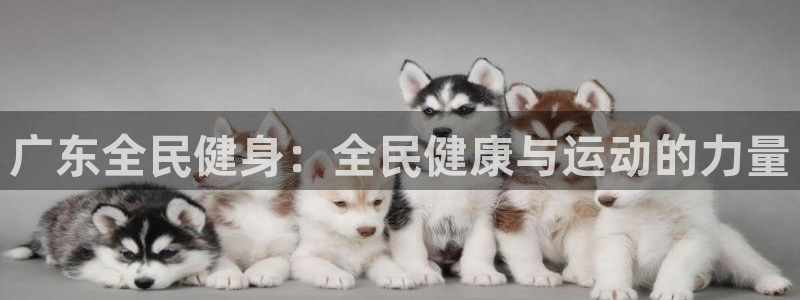 尊龙凯时有假么