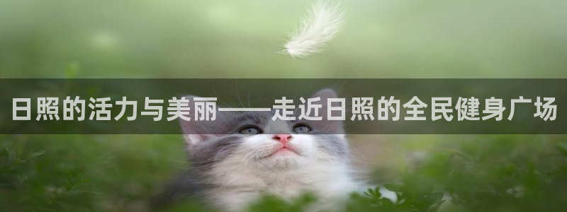 尊龙手机版