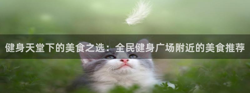 尊龙d88手机版下载