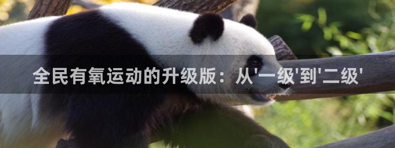 尊龙凯时平台入口