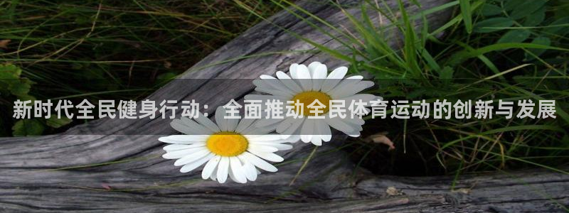 d88尊龙官网手机app