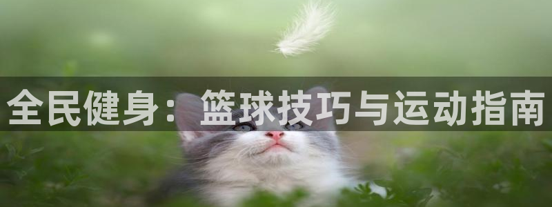 尊龙现金d88