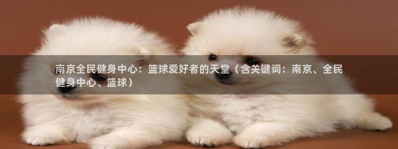 尊龙官网手：南京全民健身中心：篮球爱好者的天堂（含关键词
