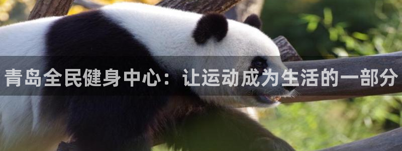 尊龙人生就是博i可靠吗