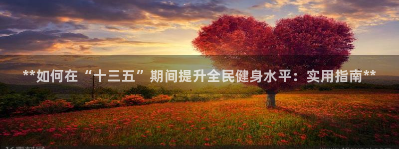 凯时尊龙官网网址：**如何在“十三五”期间提升全民健身水