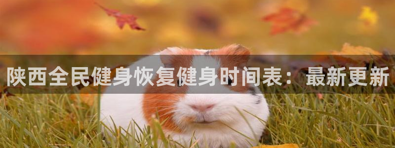 尊龙凯时网站赌愽做假吗：陕西全民健身恢复健身时间表：最新更新