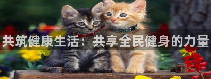 怎样能成为尊龙凯时平台的会员